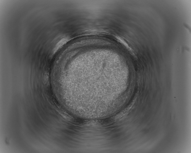 X0000090991259200708301304