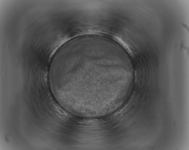 X0000090991260200708301304