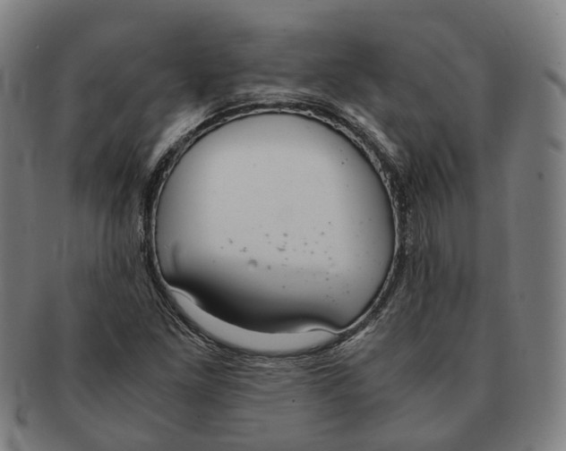 X0000090991261200708301304