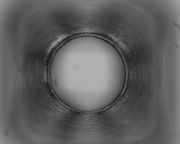 X0000090991262200708301304