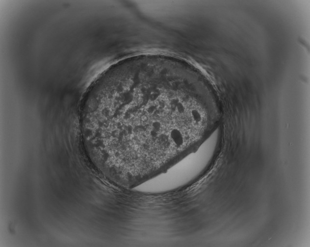 X0000090991263200708301304