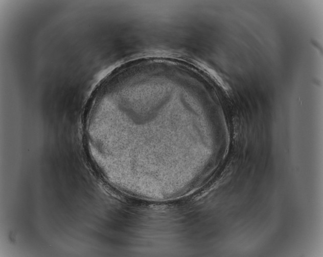 X0000090991264200708301304