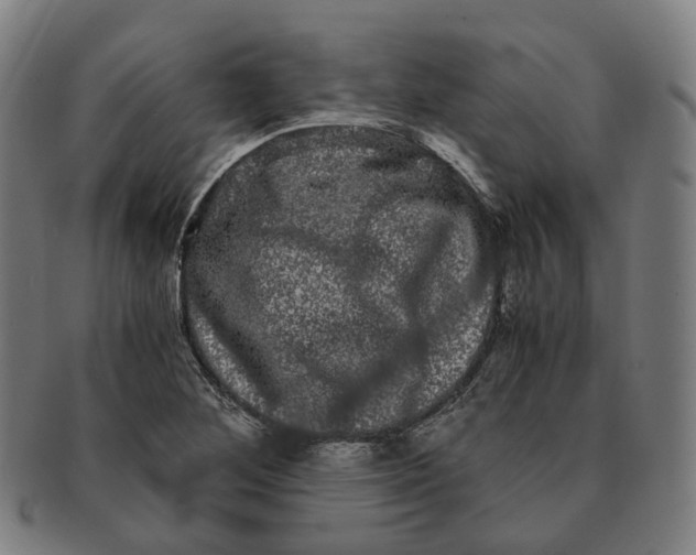 X0000090991268200708301304