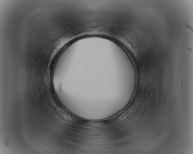 X0000090991270200708301304