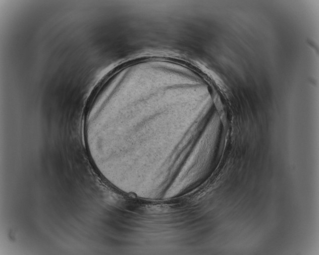 X0000090991272200708301304