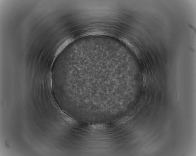 X0000090991274200708301304