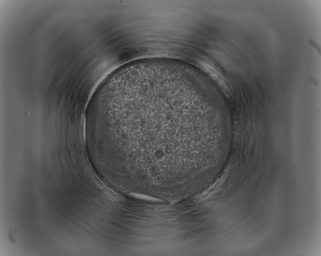 X0000090991275200708301304