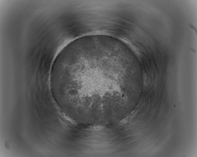 X0000090991278200708301304