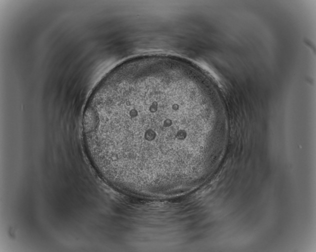 X0000090991279200708301304