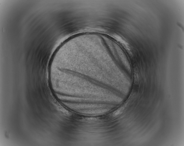 X0000090991280200708301304