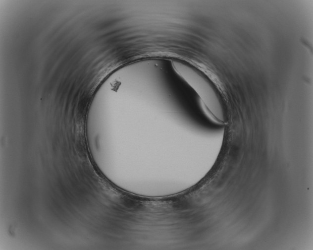 X0000090991281200708301304