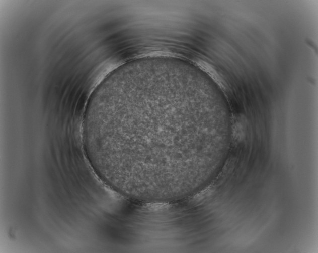 X0000090991282200708301304