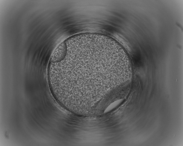 X0000090991283200708301304