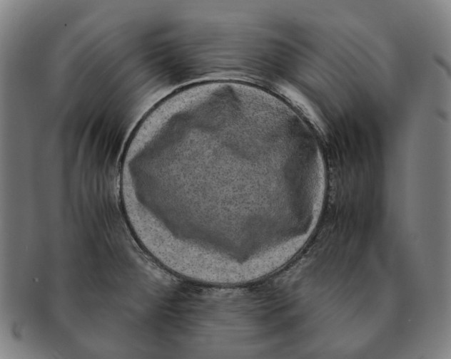 X0000090991284200708301304