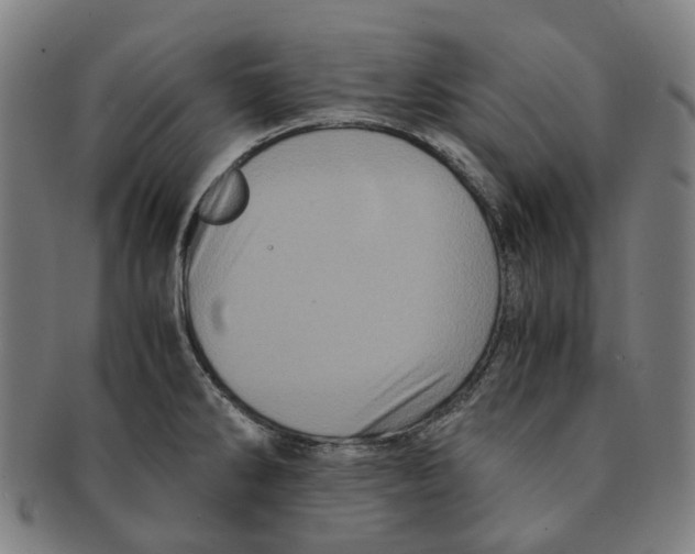 X0000090991286200708301304