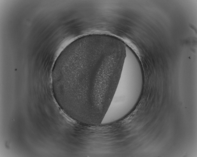 X0000090991287200708301304