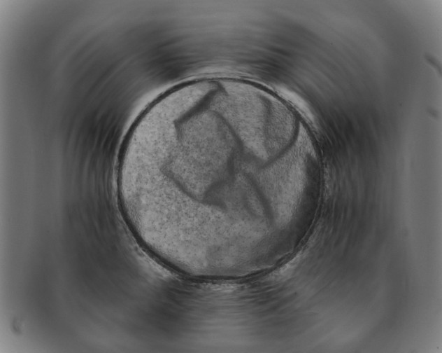 X0000090991288200708301304