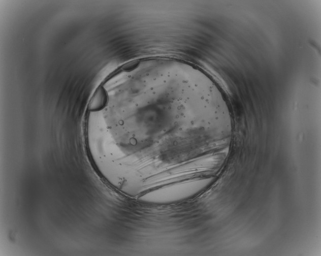 X0000090991291200708301304