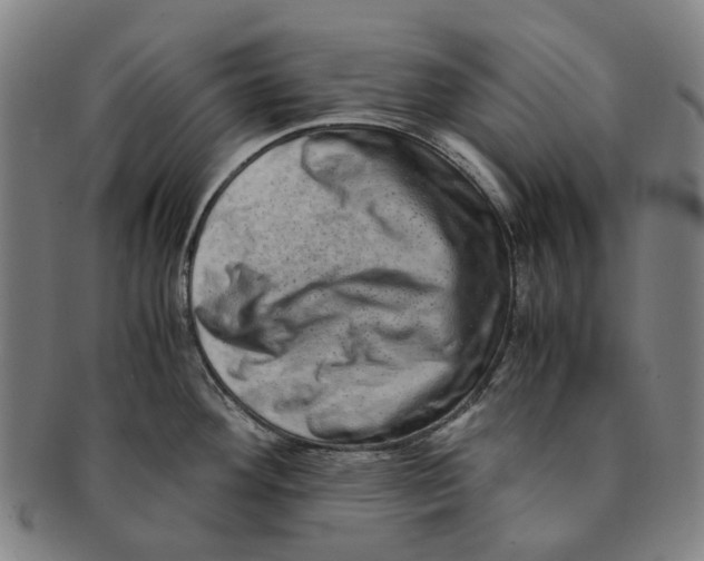 X0000090991292200708301304