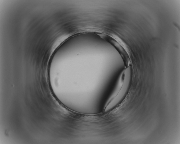 X0000090991293200708301304