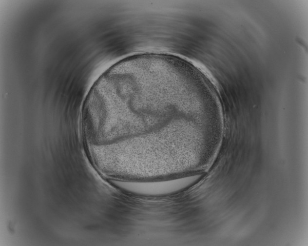 X0000090991295200708301304