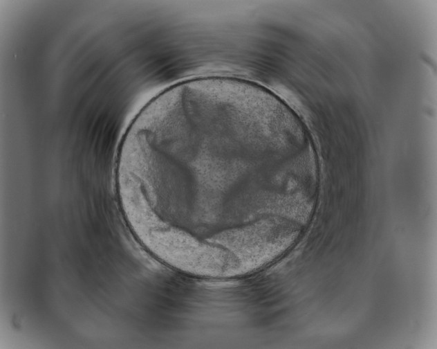 X0000090991296200708301304