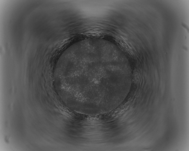 X0000090991297200708301303