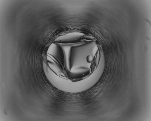 X0000090991298200708301303