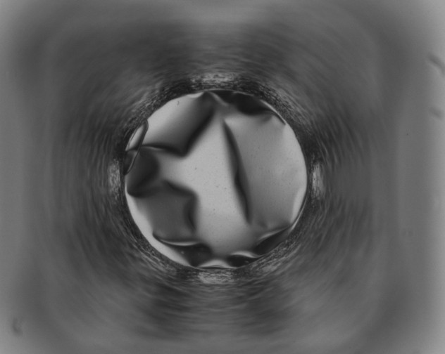 X0000090991299200708301303