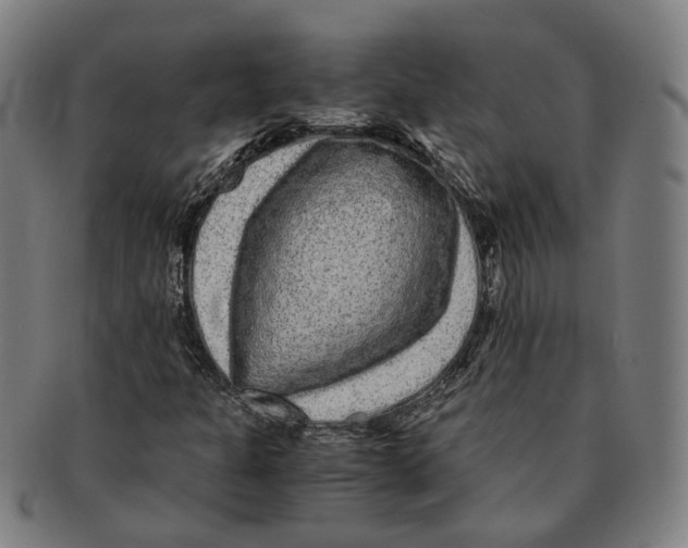 X0000090991301200708301303