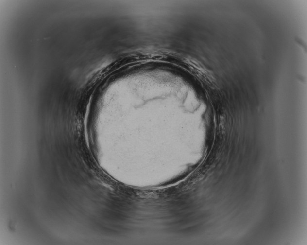 X0000090991302200708301303