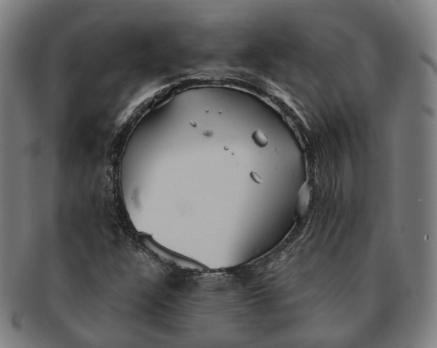 X0000090991304200708301303