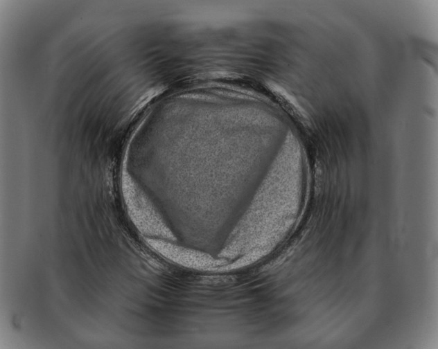 X0000090991305200708301303