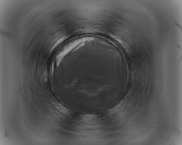 X0000090991306200708301303