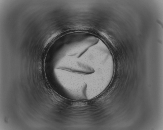 X0000090991307200708301303