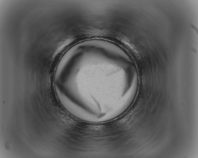 X0000090991309200708301303