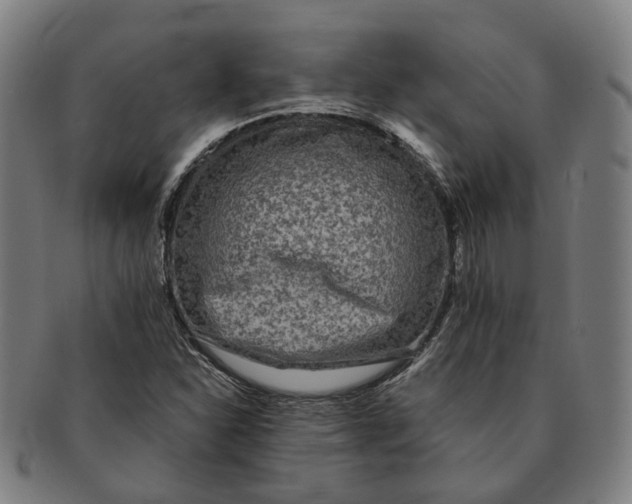 X0000090991310200708301303