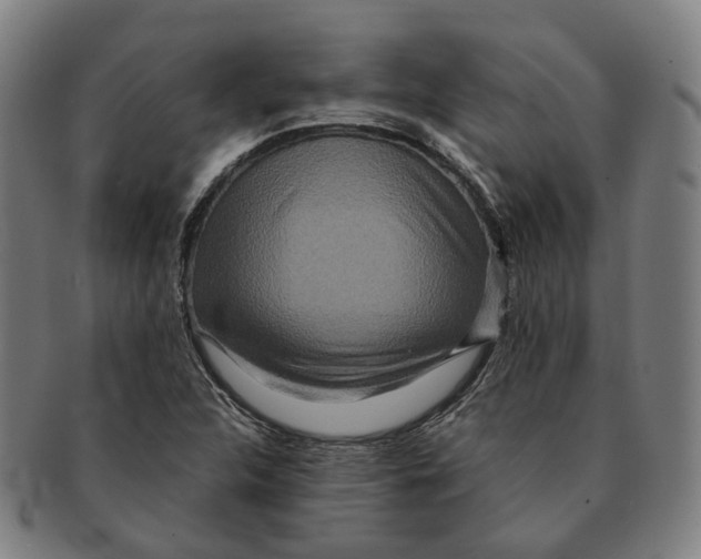 X0000090991312200708301303