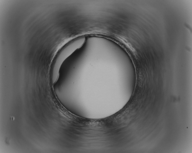 X0000090991316200708301303