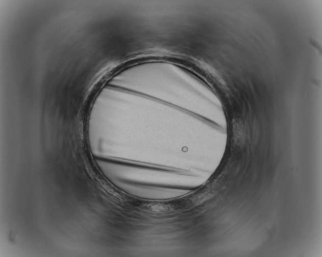 X0000090991318200708301303