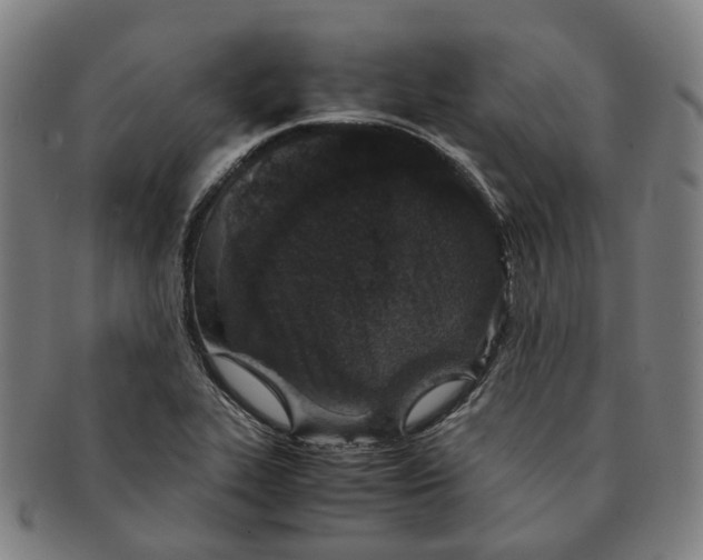 X0000090991319200708301303