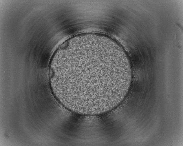 X0000090991322200708301303