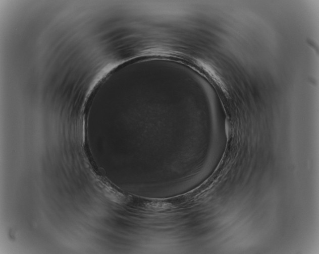 X0000090991323200708301303