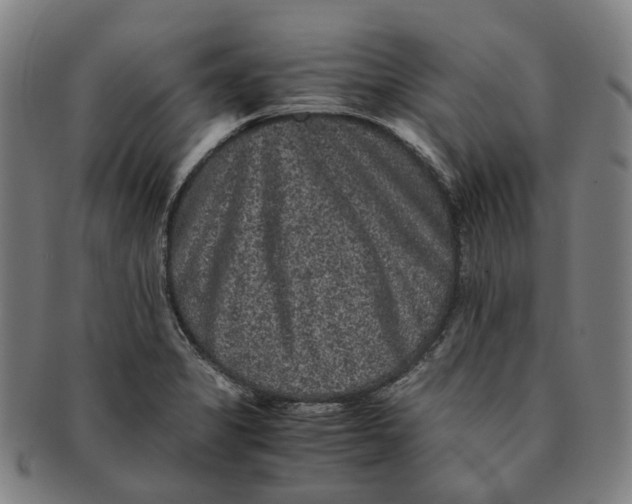 X0000090991325200708301303