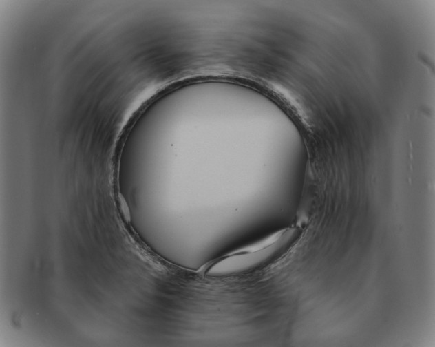 X0000090991326200708301303