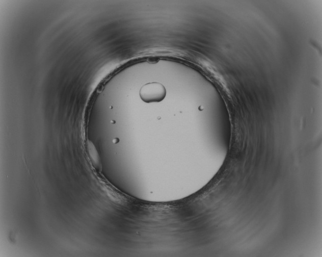 X0000090991328200708301303