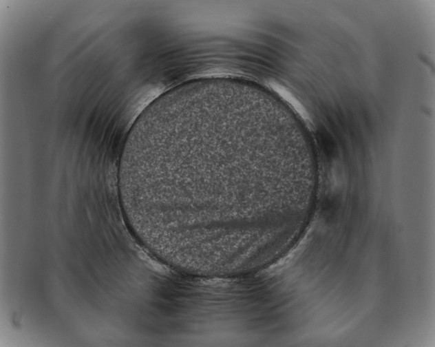 X0000090991329200708301303