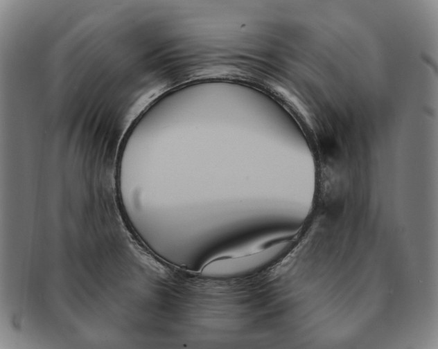 X0000090991330200708301303