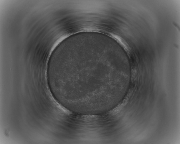 X0000090991331200708301303