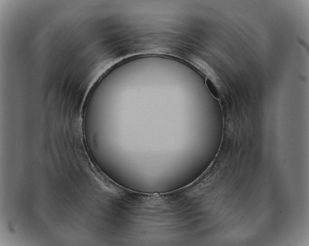 X0000090991332200708301303